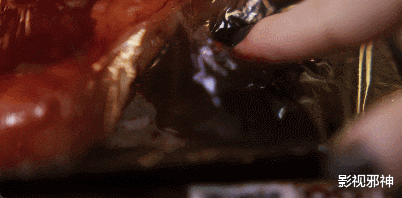 杨幂|童年时代的启蒙女神,年过半百依然玩很大?