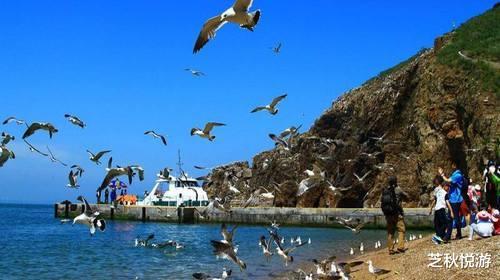 海驴岛|荣城必去的三个景点，到这与山海、动物亲密接触，来次快乐游吧