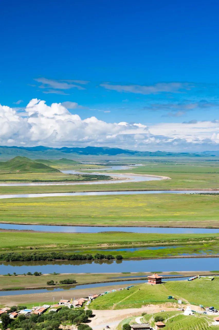 荷花|这才是最值得去的12个避暑天堂,挑一个去过25℃+的夏天