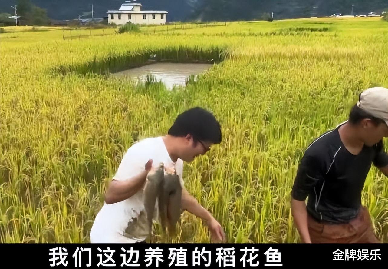 稻花鱼宰客事件最新进展!女网红当天吃的菜品全曝光了