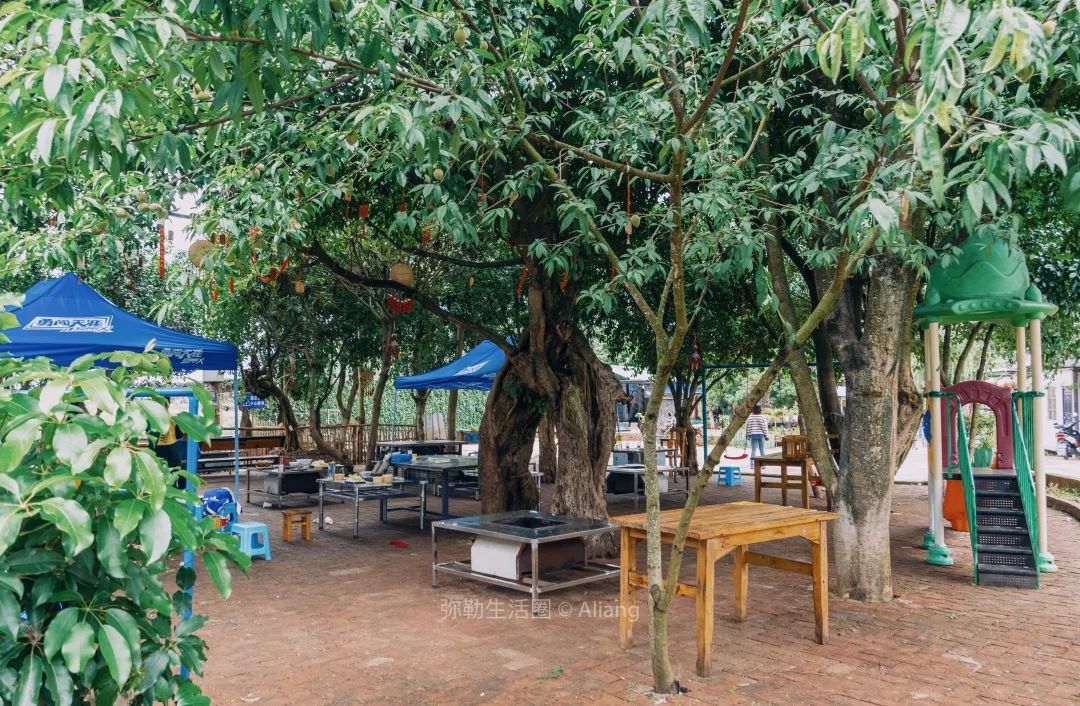 山水画|红河州城外山脚下的农庄，风景美如山水画，荷塘、烧烤、钓鱼，20分钟抵达