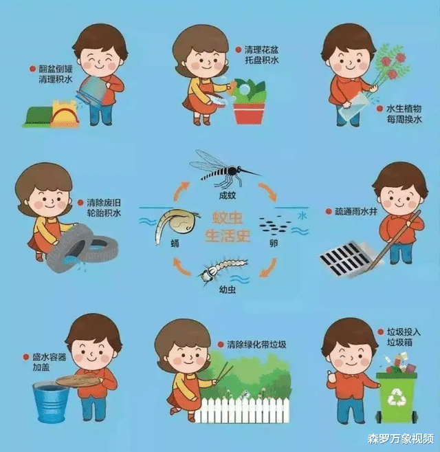不顾反对!美国将放出24亿只转基因蚊子,有什么目的?