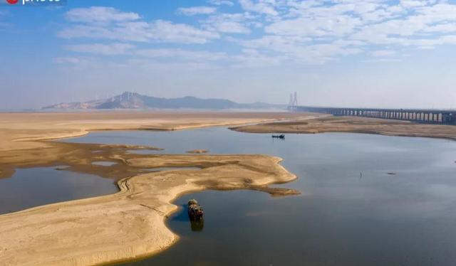 长江|长江三年禁渔成果是毁于天灾?