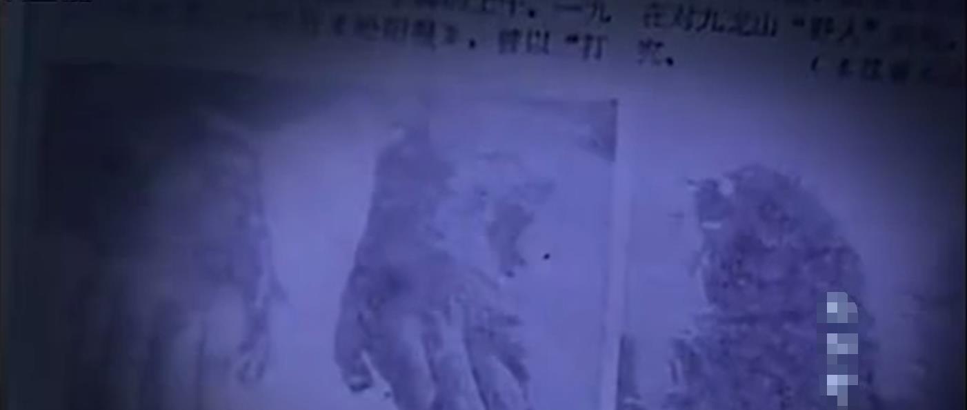 1957年浙江村庄现“野人”,村民抓住打死,一位老师把手脚制标本