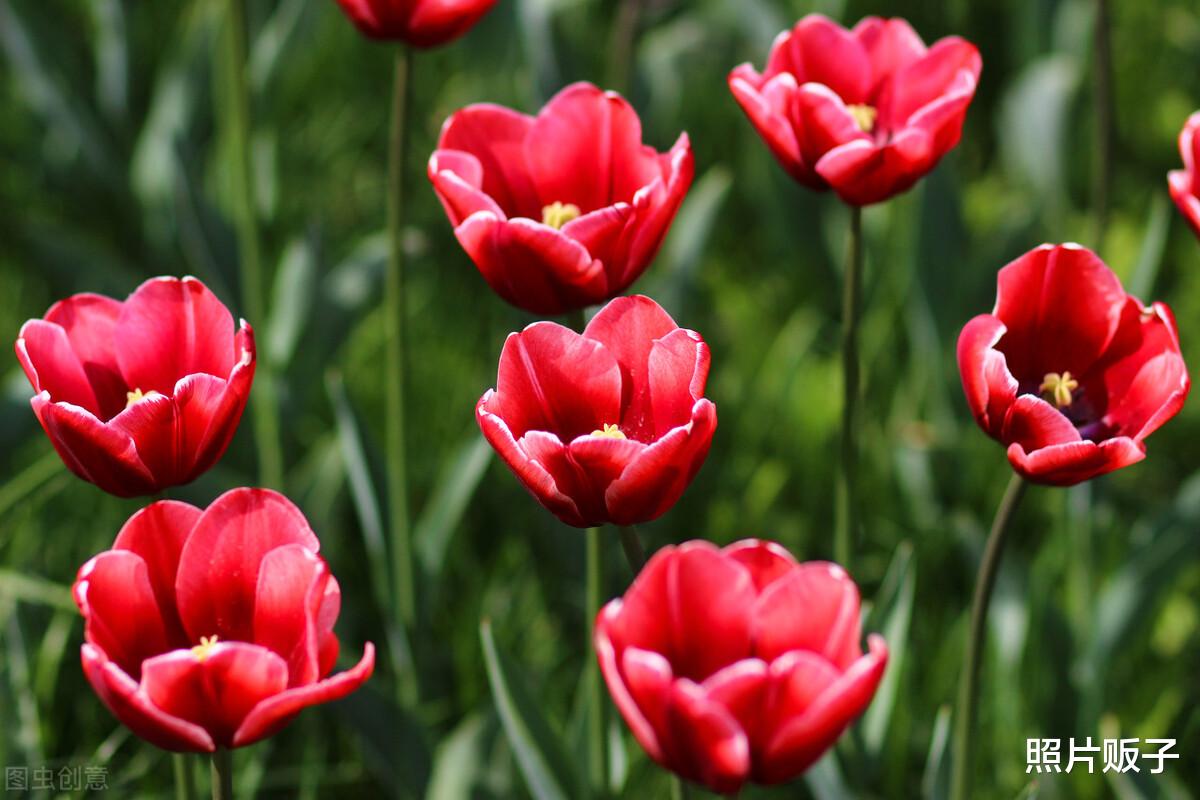 学会这9个实用的摄影构图,不要再说你不会拍照!