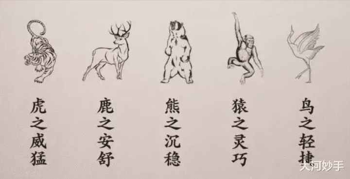 八段锦|锻炼脊柱，要学习动物的本能，八段锦五禽戏把秘密都讲透了