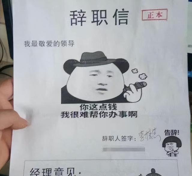00后|“就是这么任性”,00后硬核整顿职场,辞职信更是让老板看呆了
