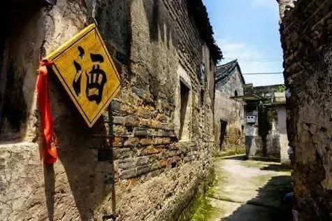 高手是怎样做的?生物学思维:事物间存在关联、动态和特殊情况