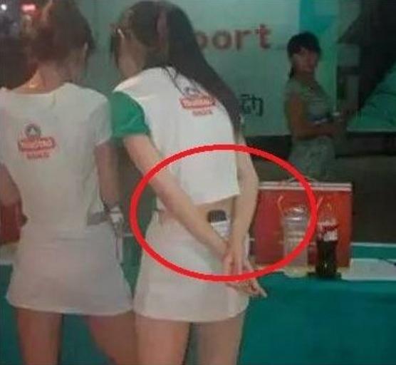 明星 “母猫刚下崽，公猫也去跟小猫抢吃的，怎么办？”哈哈哈哈哈