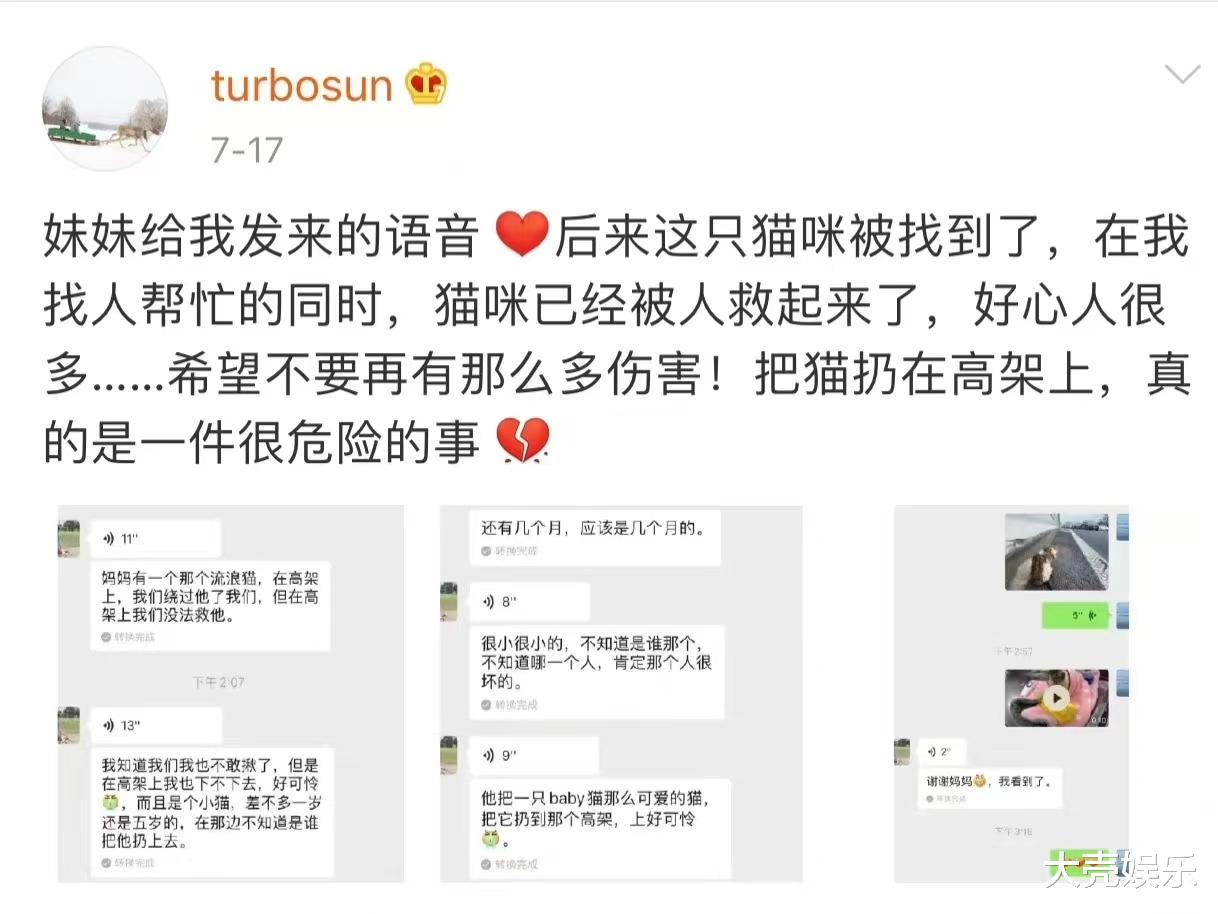 孙俪|孙俪晒孩子和猫咪相处日常,猫咪是去年捡的,网友夸她人美心善