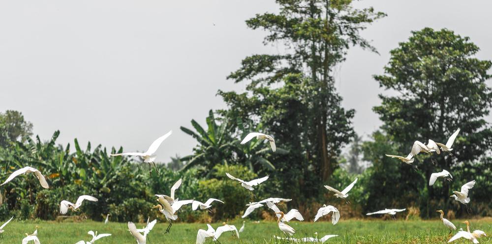 杨威|儿子首次带女友回家：做一顿饭，不合格你们分手，母亲后悔了