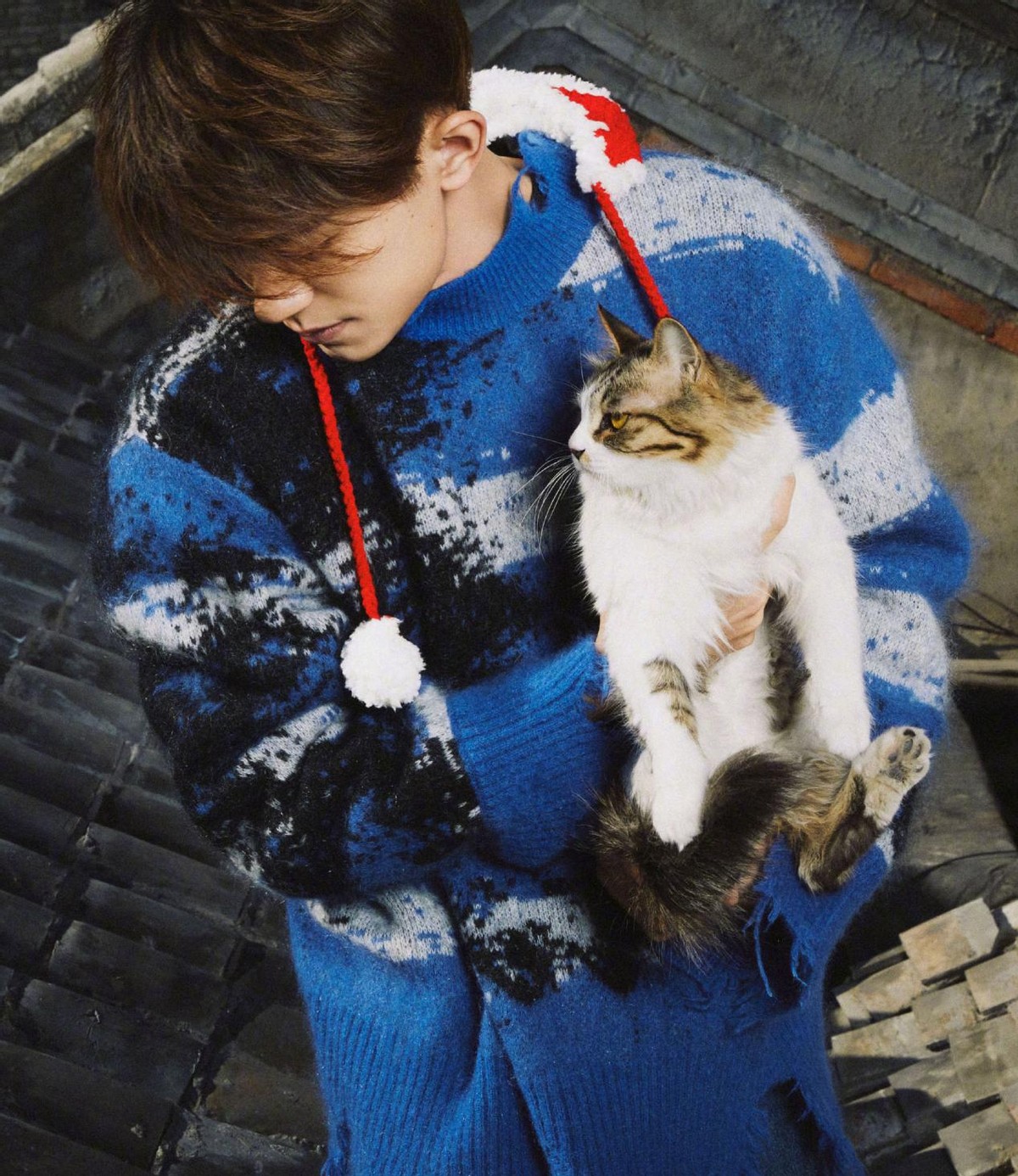 王俊凯|TFBoys的新年照太破防!王俊凯王源穿西装秀默契,虎年春晚不合体