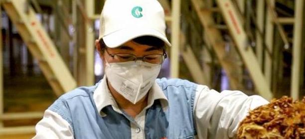 中超|2023年“铁饭碗”排名刷新,公务员未进前五,榜首可比拟高岭之花