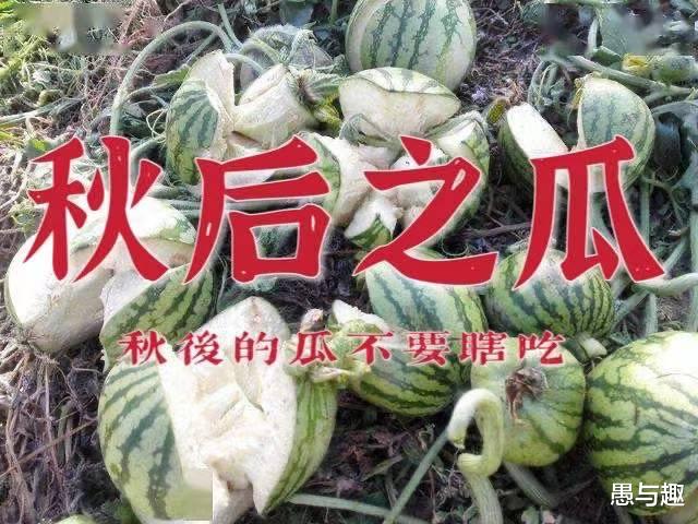 吃瓜群众|王力宏的那点破事，还弄出了续集，歌手与戏精之间的飙戏，谁能笑到最后？