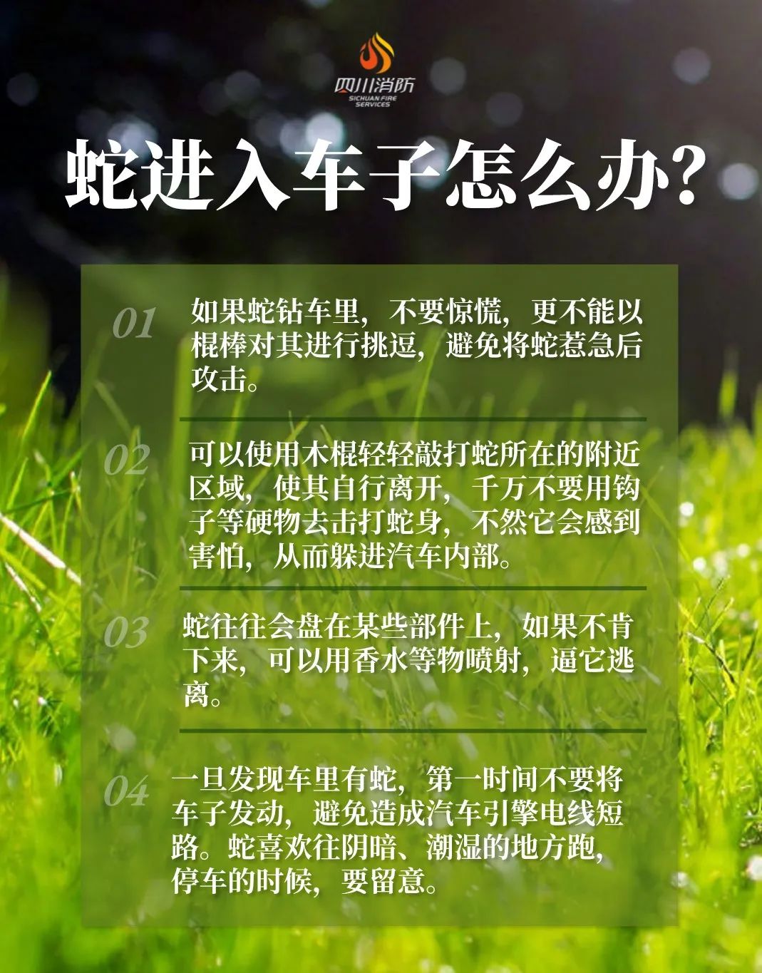 |注意!前方“蛇出没”