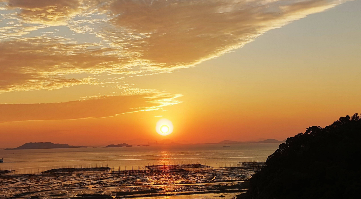 荷花|浙江有什么有趣的景点