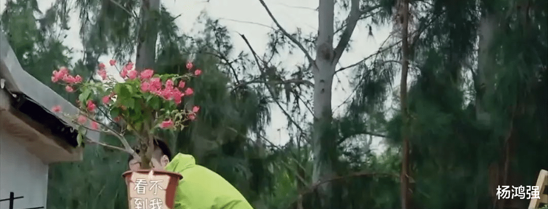 彭昱畅|?新一季差评满满,这生活居然谁也不向往了?