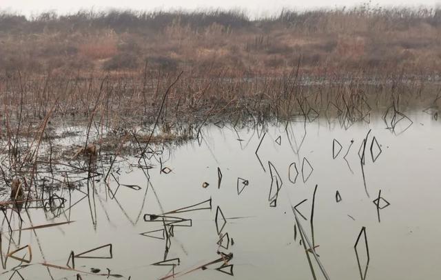 疯狂|钓鱼的瘾能有多大？年三十都要去甩两竿，这也太疯狂了