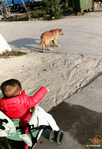 |在租的房子里打扫卫生的时候发现的,要不要告诉房东?