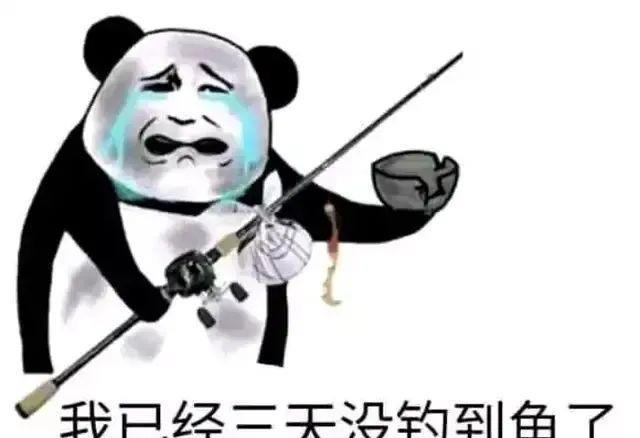 |钓鱼有什么乐趣？常人很难理解，这6条只有钓鱼人才懂的快乐