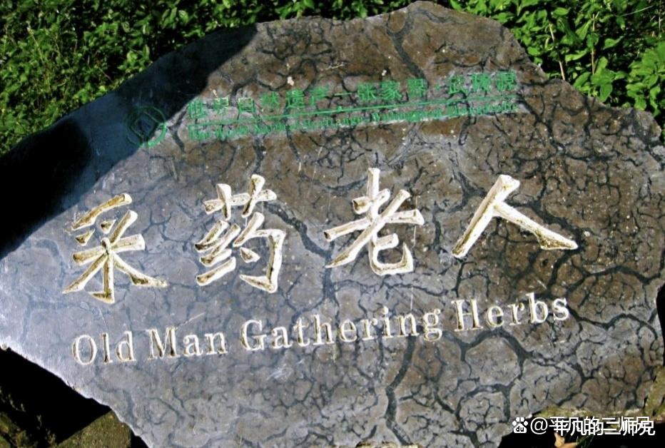 张家界|张家界的“奇山怪石”你看过多少？有人看过四处以上的吗？