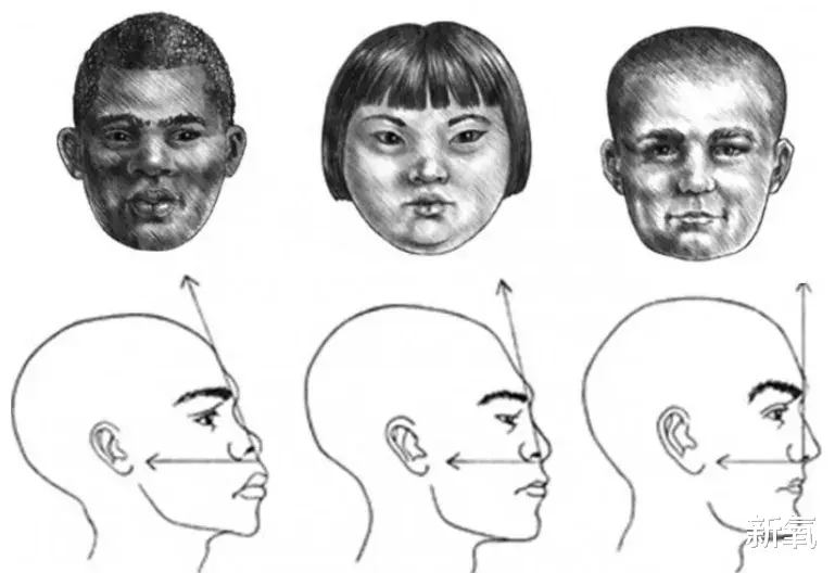 虎牙|连续霸榜最美女明星5年,她的脸到底有啥魔力?