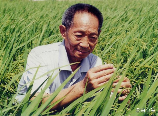 新中国十大科学家,每一位都是无双国士,贡献巨大