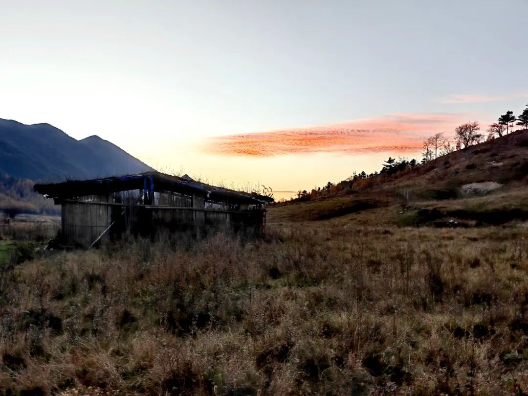 |红叶漫山，层林尽染，红池坝迎来了一年最迷人的