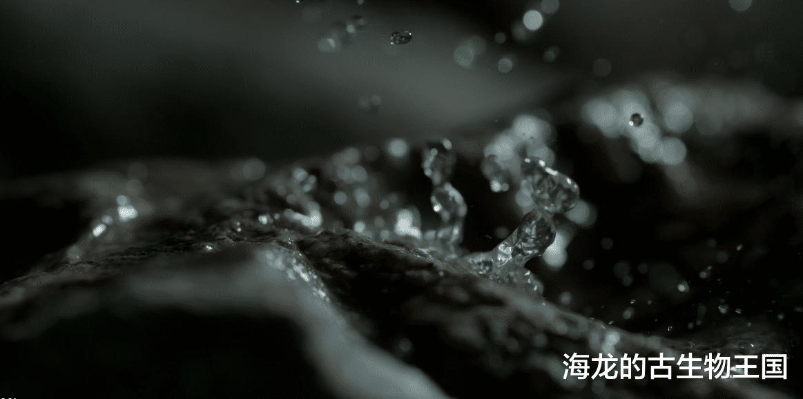 三角龙的独特解毒之法!