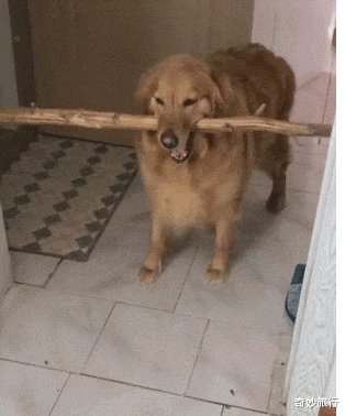 |续集不要轻易换演员，坏了口碑，折了收视率