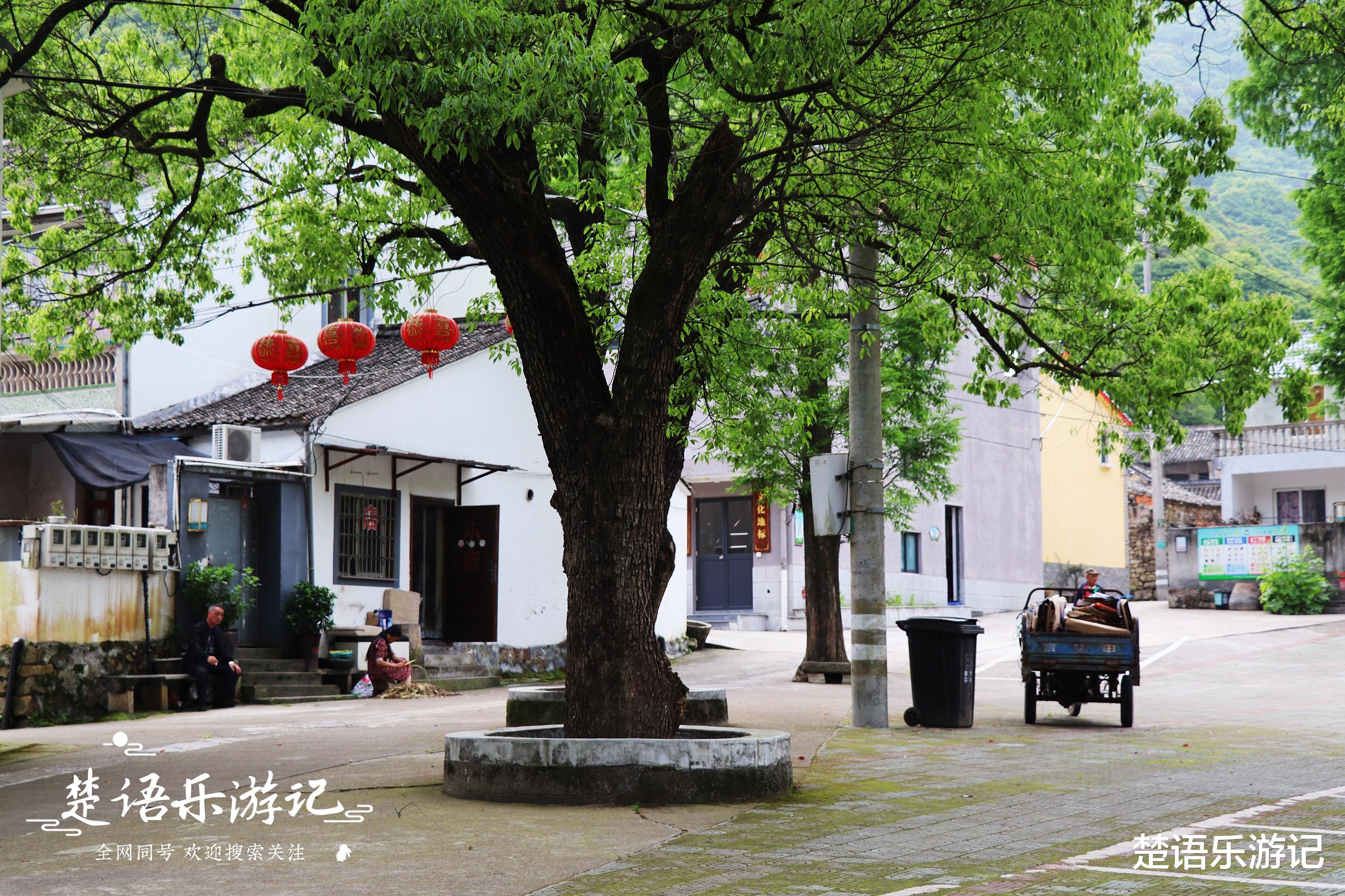 古镇|宁波这个网红景点不仅有花海，原来还是露营胜地，湖光山色美如画