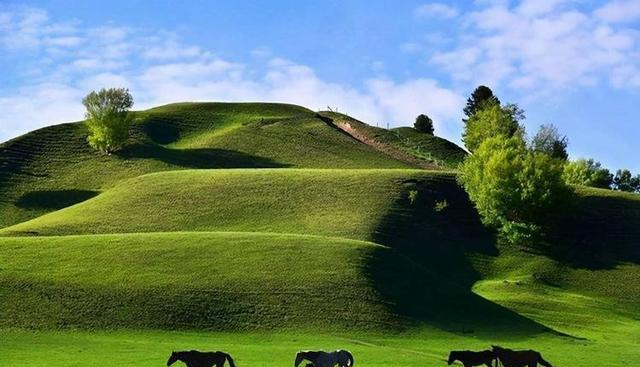 宜宾|这是一趟开往新疆的列车，出发吧！来一场此生无憾的旅行！