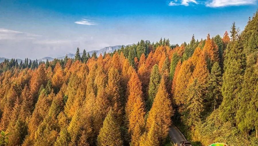 旅行|9个超适合夏天去的绝美旅行地，简直不要太安逸，挑一个安排上吧！