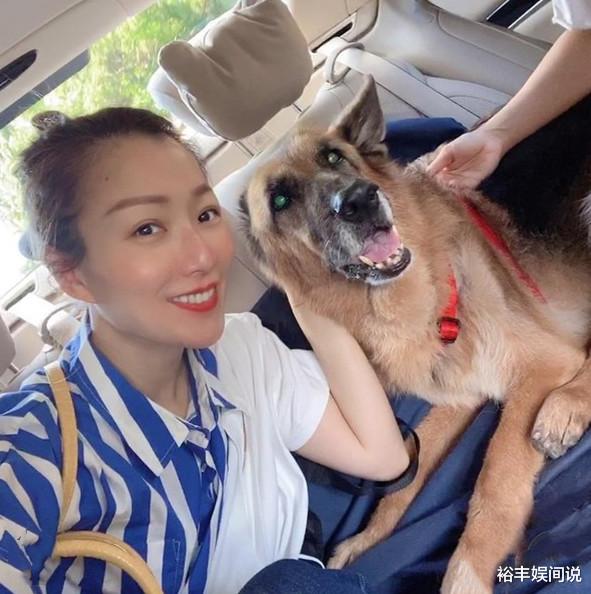 古天乐|香港艺人为抗疫出力！四大天王只郭富城行动，古天乐捐3000检测包