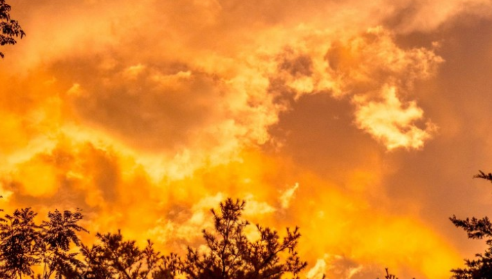 华夏银行|工作报告不会写,其他总结我写得很完美