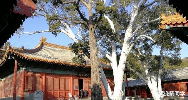 琉球|全国这九个名胜古迹不让拍照，没有人抱怨：来参观的游客人山人海