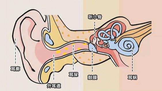 耳机|为什么越来越多的人变身“小聋人”？没有一只耳机是无辜的