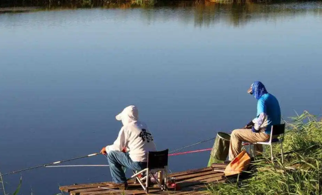 饵料|夏季钓鱼久守无口，悟透这5条“定律”，夏钓不迷茫，轻松爆护