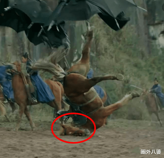 鹤唳华亭|又是一个带血的瓜