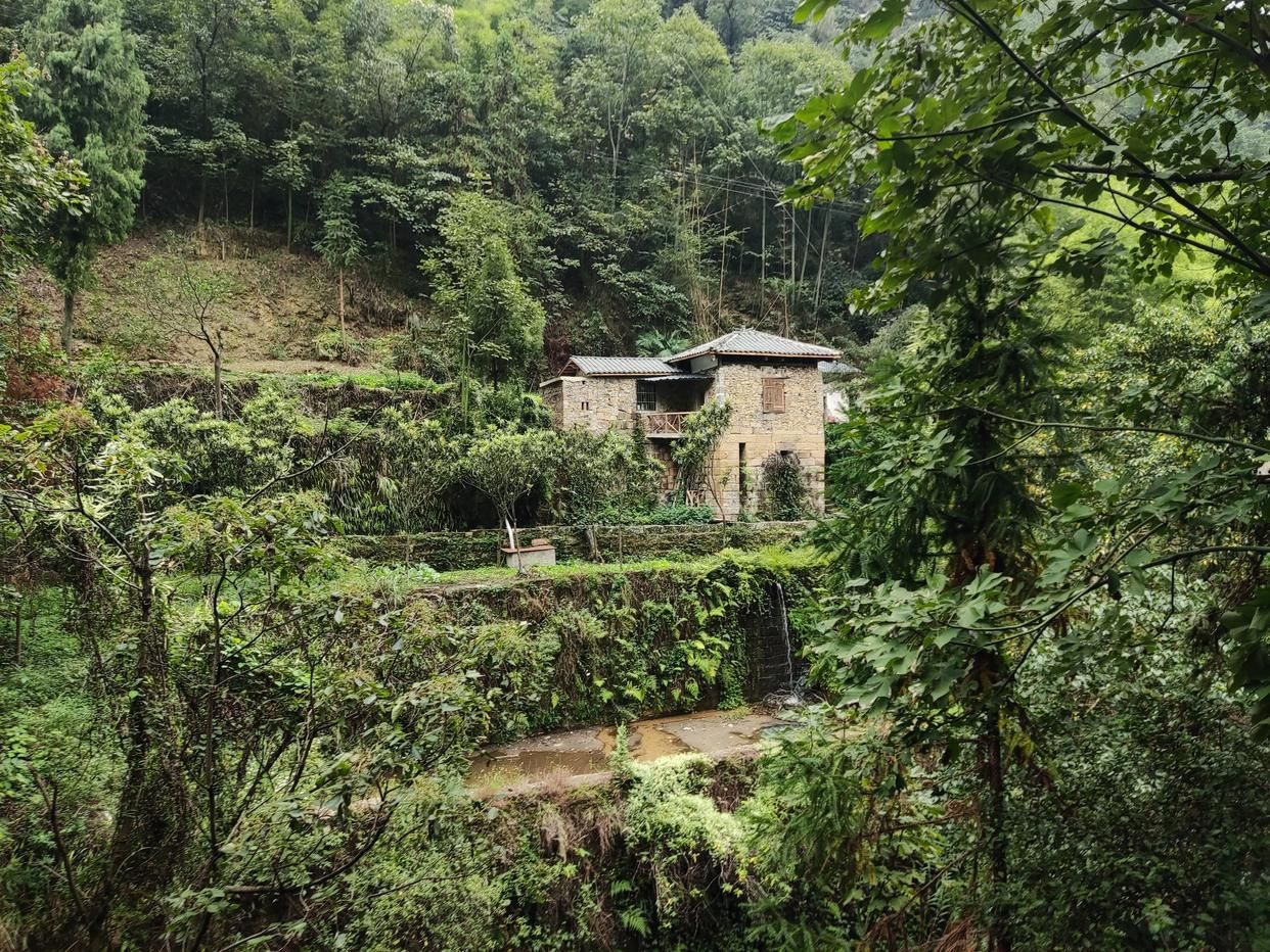 |北碚百年古村落，风景依旧底蕴犹存，好多网红在直播