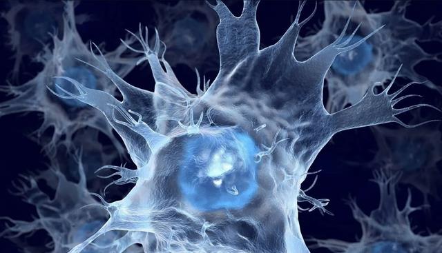 人类不可以永生吗?谷歌首席未来学家:人类或在2045年实现永生