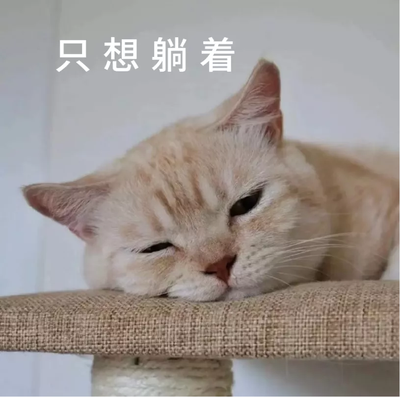 懒人最好不要做的6个网红家装设计,谁装谁后悔