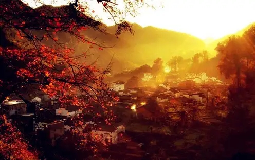 |【赏秋-婺源】