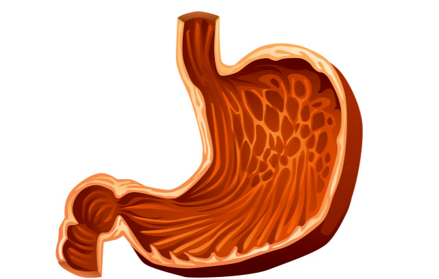 睡眠|听人说常吃面条能养胃,是真的吗?提醒:养胃人群,4件事要做好
