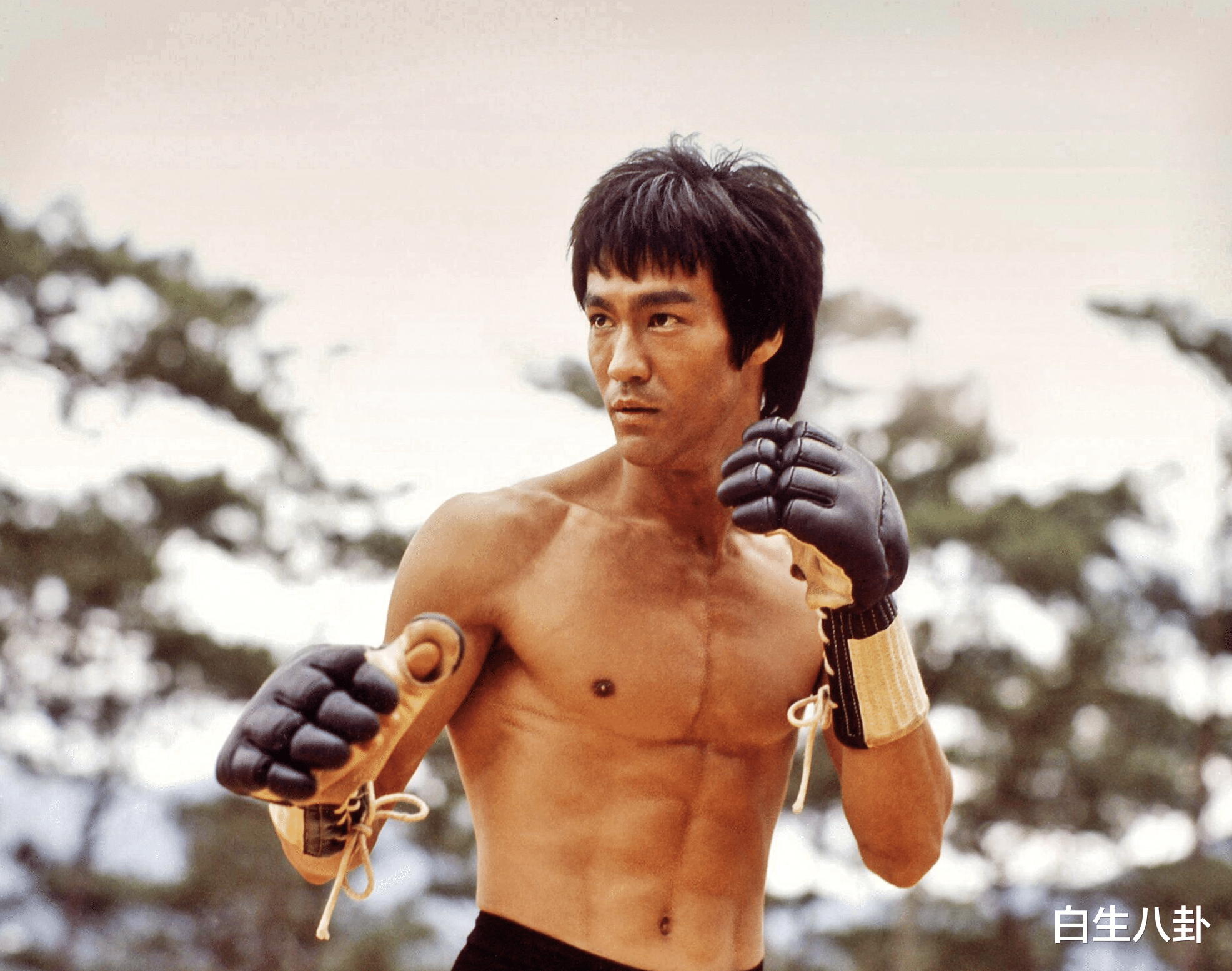 李安|知名导演李安,引发热议!