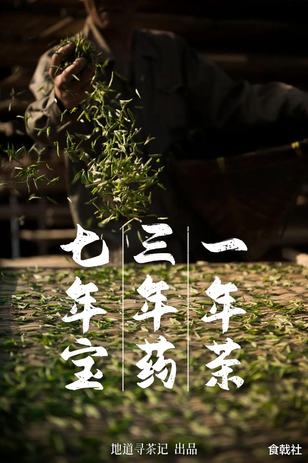 中国白茶地图