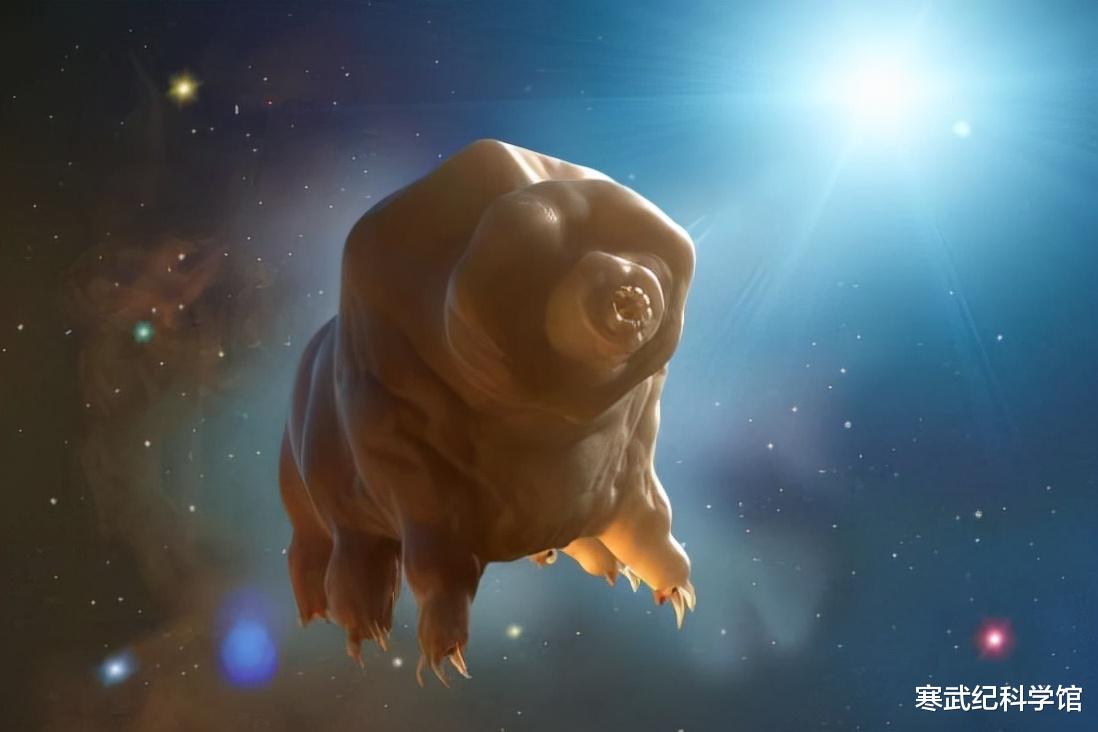 光子推进实现星际穿梭?水熊虫凭什么是首批星际航行的动物?
