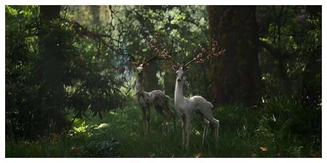 克苏鲁|8部克苏鲁电影，纯正浓郁的克味十足