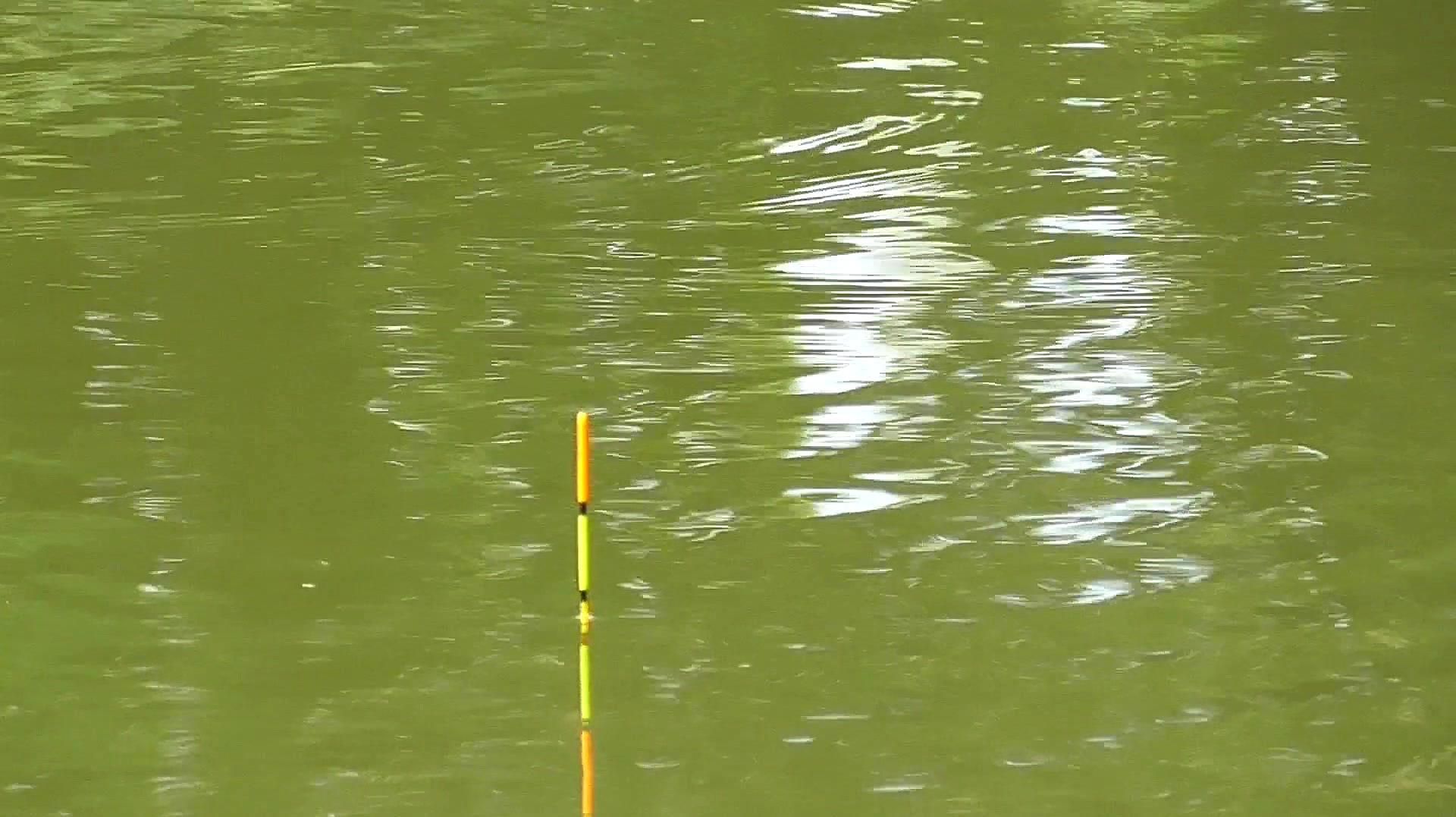 |滑铅OR重铅,到底该用哪一种,看这一篇就够了