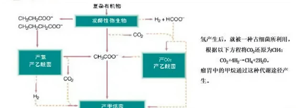 甲烷排放创新高,每年增加5000万吨,研究者:少吃肉,少开车